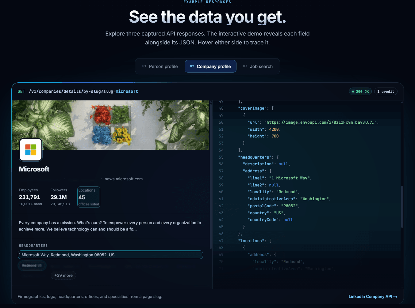 EnvoAPI company profile JSON response showing structured firmographic data and credit cost per call